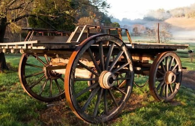 Toorongo River Sanctuary - Foto 37