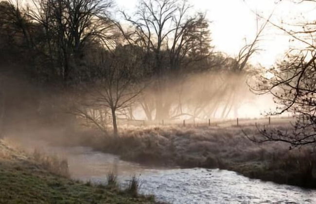 Toorongo River Sanctuary - Foto 35