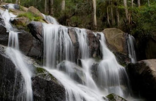 Toorongo River Sanctuary - Foto 36