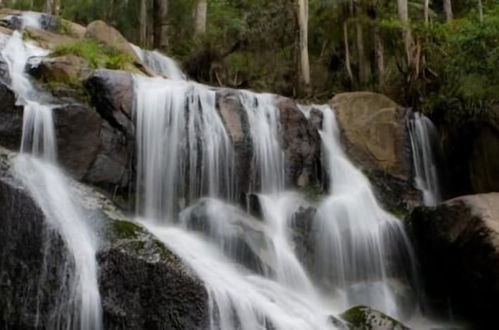 Foto 50 - Toorongo River Sanctuary