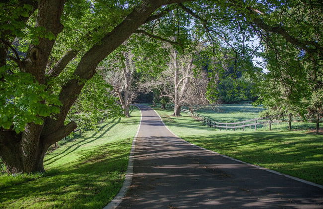 Toorongo River Sanctuary - Foto 33