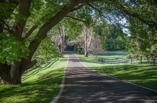 Photo 46 - Toorongo River Sanctuary