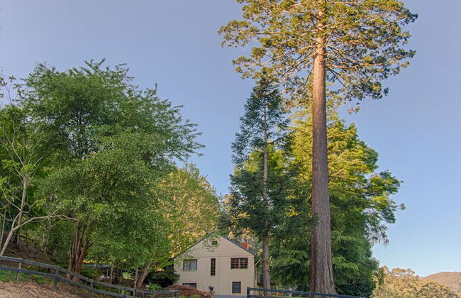 Toorongo River Sanctuary - Foto 32