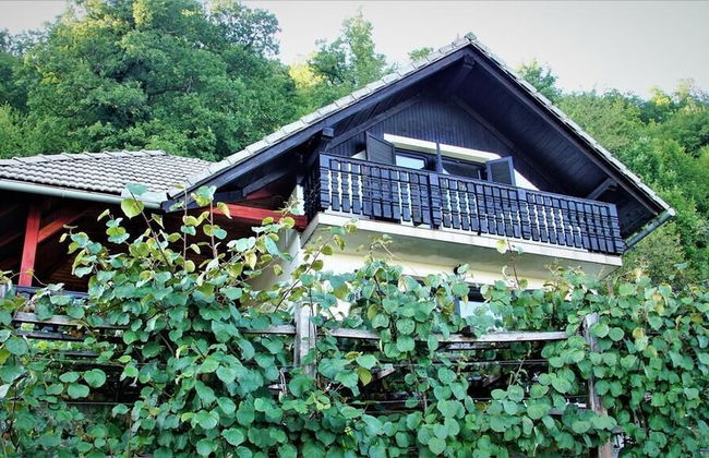 Vineyard Cottage Zajc - Foto 1