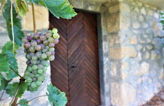 Photo 2 - Vineyard Cottage Zajc