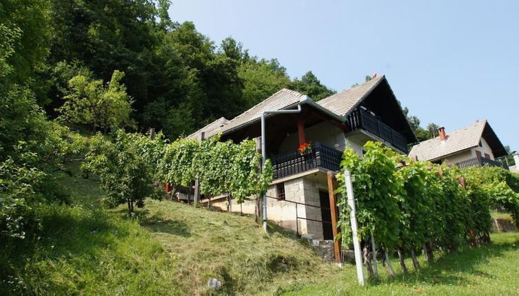 Photo 1 - Vineyard Cottage Zajc