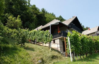 Foto 1 - Vineyard Cottage Zajc