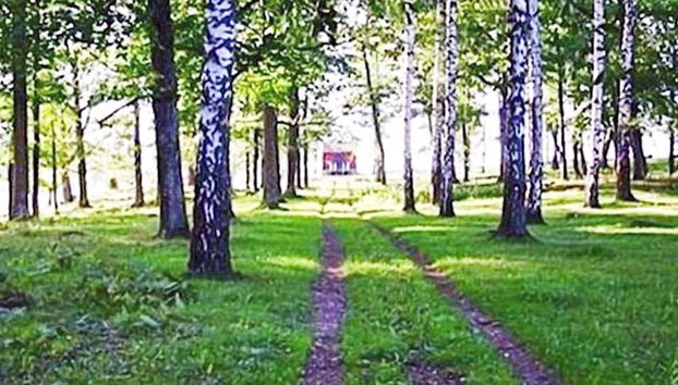 6 Person Holiday Home in Loftahammar - Foto 5