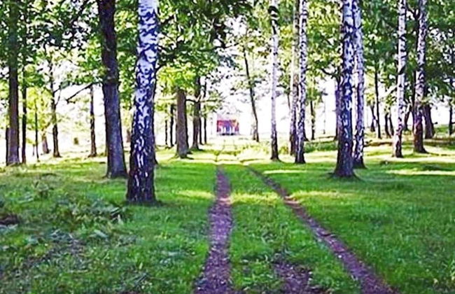 6 Person Holiday Home in Loftahammar - Foto 5