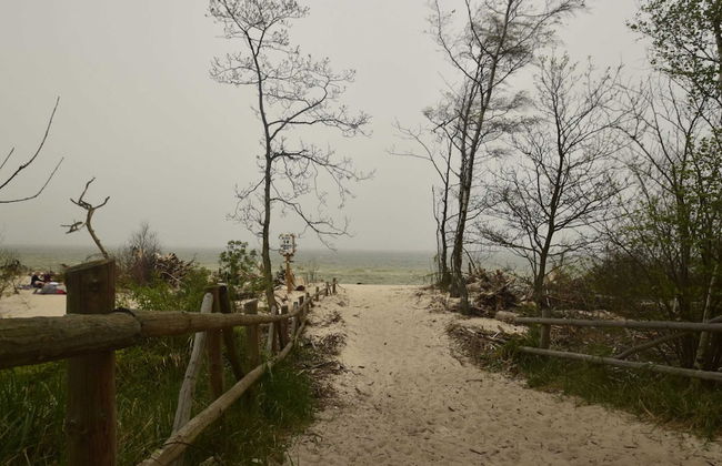 Tasteful Villa on the Polish Coast in Beautiful Nature, Lovely Garden, Sauna - Foto 36