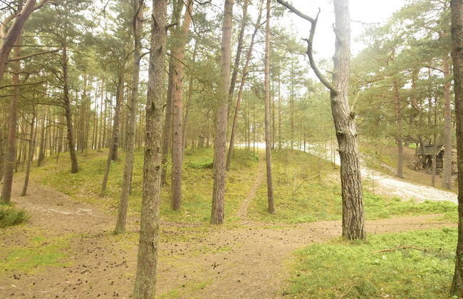 Tasteful Villa on the Polish Coast in Beautiful Nature, Lovely Garden, Sauna - Foto 34