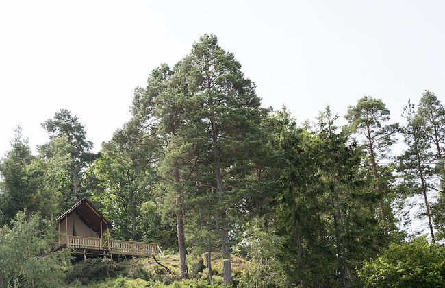 Anfasteröd Gårdsvik - Foto 26