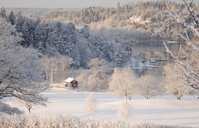 Anfasteröd Gårdsvik - Foto 69