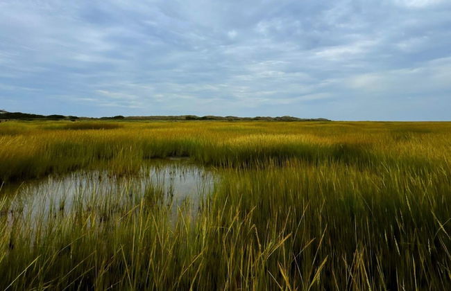 7 Person Holiday Home in Fano-by Traum - Foto 12