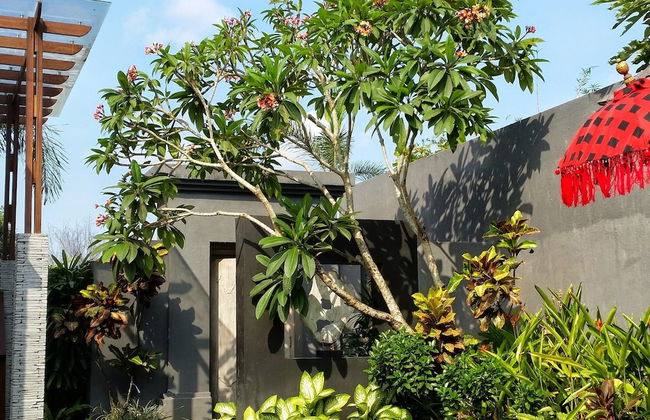 Jabunami Villa - Foto 56