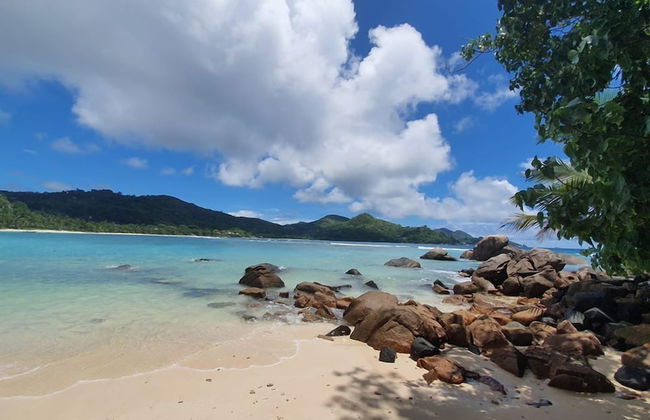 Pebbles Cove - Foto 13