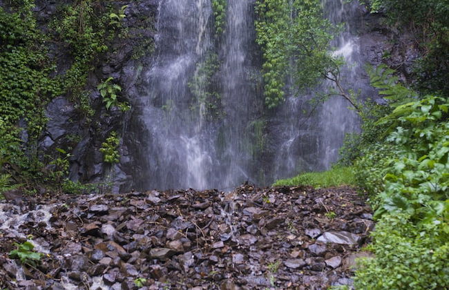 Nimbin Waterfall Retreat - Foto 2