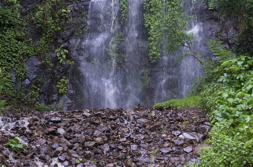 Foto 2 - Nimbin Waterfall Retreat