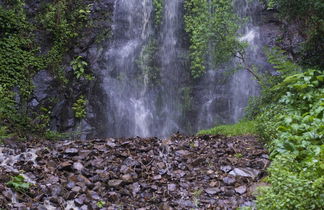 Foto 2 - Nimbin Waterfall Retreat