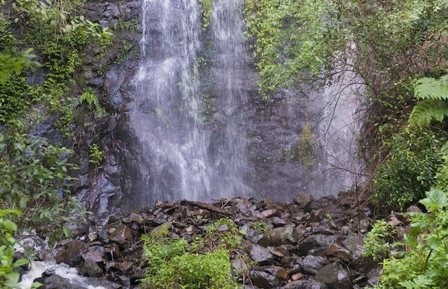 Nimbin Waterfall Retreat - Foto 33