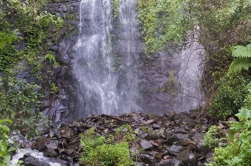 Foto 33 - Nimbin Waterfall Retreat