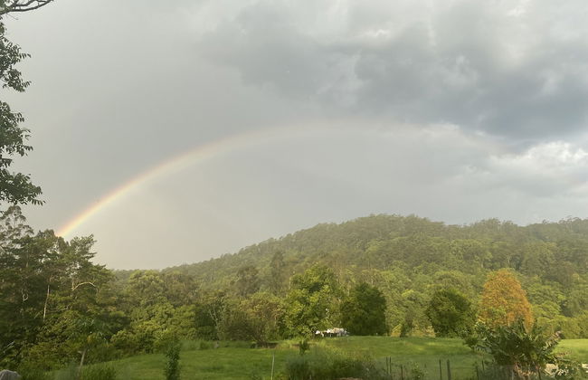 Nimbin Waterfall Retreat - Foto 42