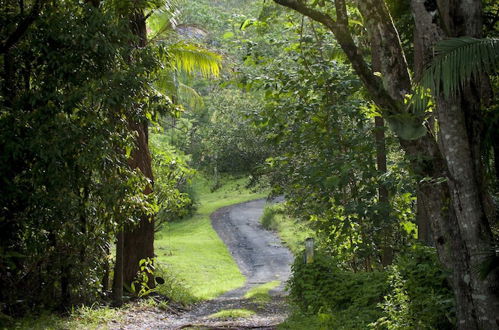 Photo 36 - Nimbin Waterfall Retreat