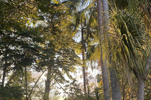 Foto 41 - Nimbin Waterfall Retreat