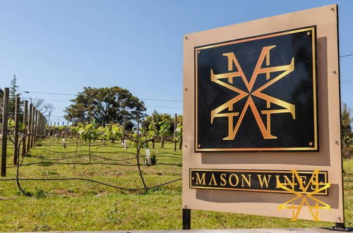 Foto 14 - Mason Wines