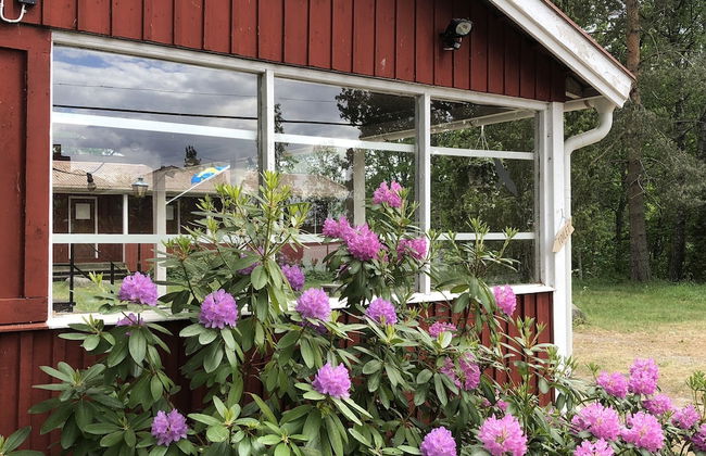 Ekuddens Vandrarhem - Foto 40
