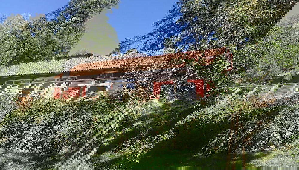 Image principale