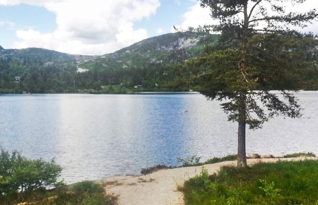 8 Person Holiday Home in Åseral - Foto 14