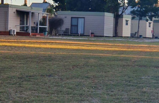Deniliquin Pioneer Tourist Park - Foto 69