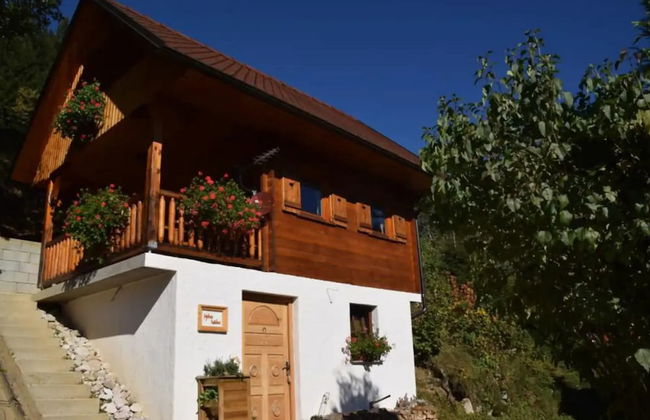 Shepperd Miha's House Private Ski Area - Foto 8