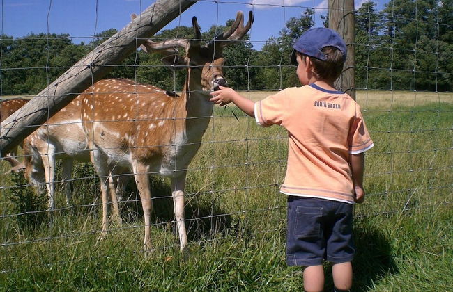 Le Domaine de l'Étang - Foto 18