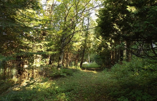 Le Domaine de l'Étang - Foto 12