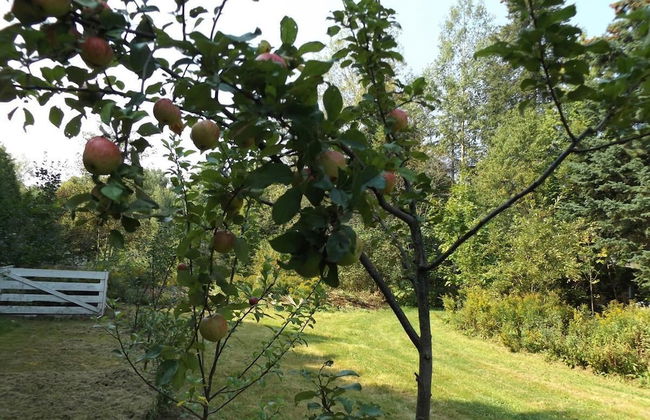 Le Domaine de l'Étang - Foto 13