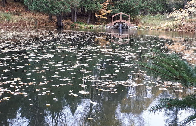 Le Domaine de l'Étang - Foto 14
