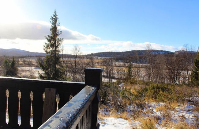 Kvitebjørn Cabin - Ål - Foto 22