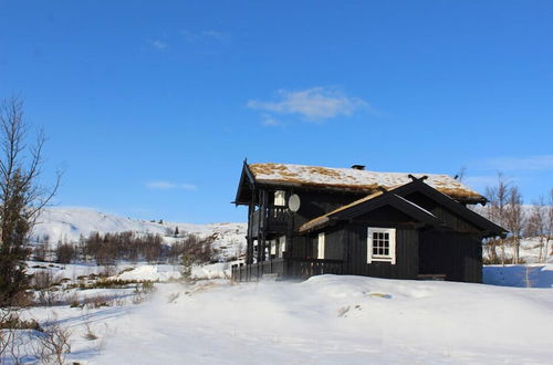 Foto 17 - Kvitebjørn Cabin - Ål