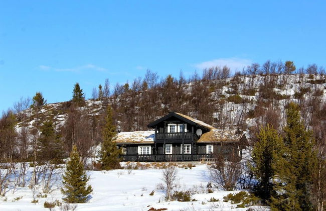 Kvitebjørn Cabin - Ål - Foto 16