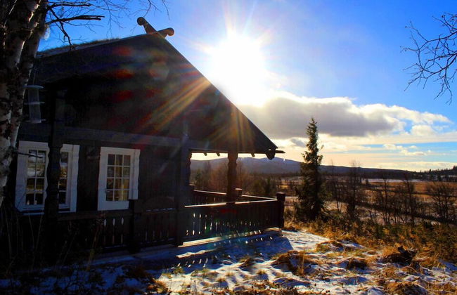Kvitebjørn Cabin - Ål - Foto 21