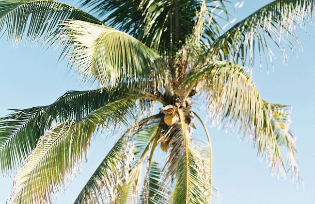 Northwest Point Resort - Photo 57