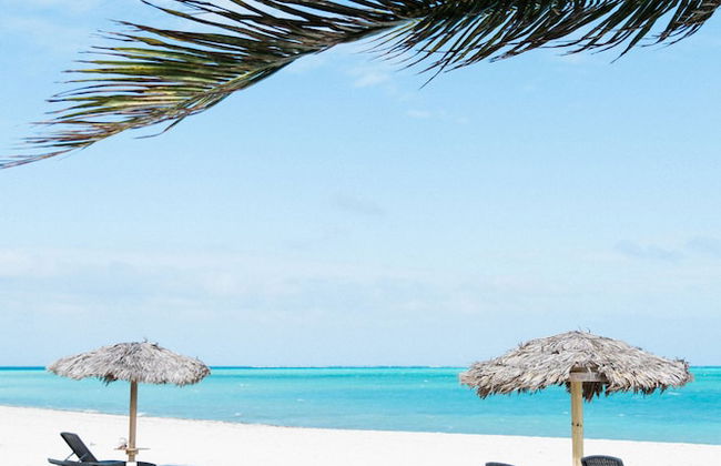 Northwest Point Resort - Photo 49