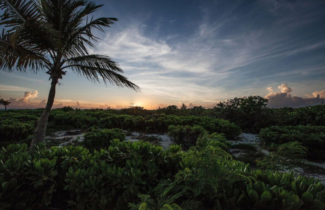 Northwest Point Resort - Photo 64