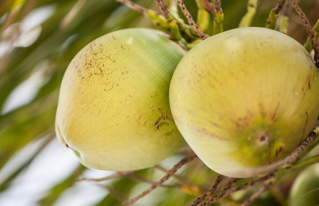 Northwest Point Resort - Photo 43