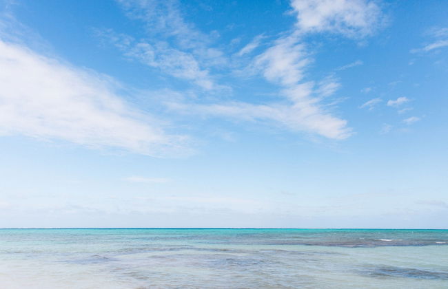 Northwest Point Resort - Photo 51