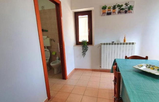 Magnificent Classic Green Apartment for Couples in the Center - Photo 10