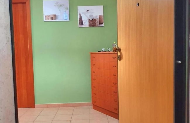 Magnificent Classic Green Apartment for Couples in the Center - Photo 4