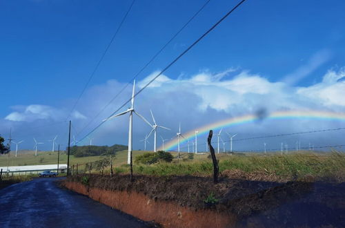 Photo 17 - Vistas del Tenorio